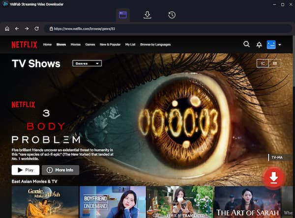 download netflix shows in vidifab