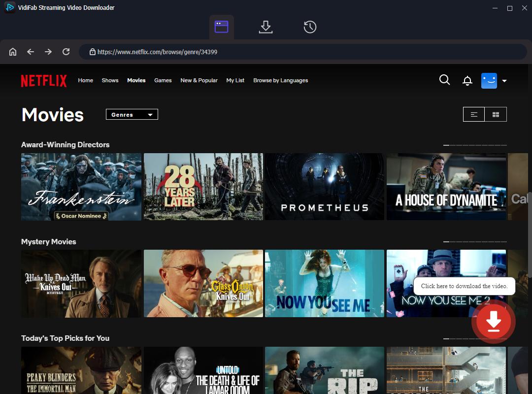 find netflix movies for download