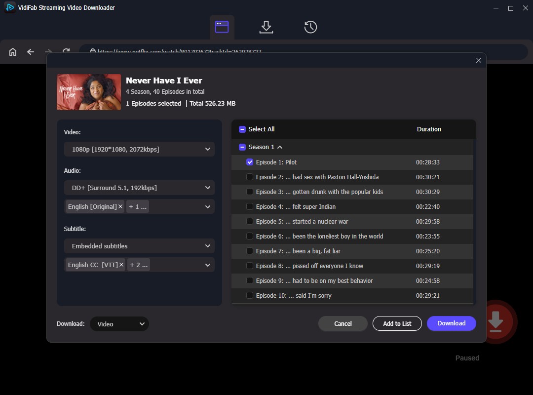 get netflix mkv video in vidifab