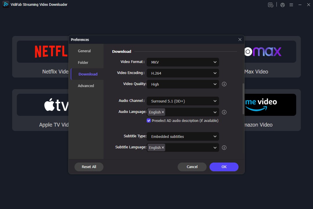 netflix to mkv in vidifab
