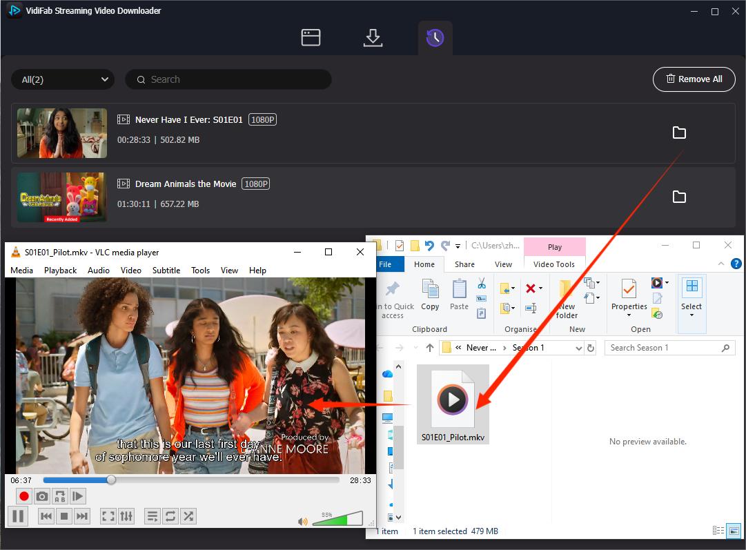 play netflix mkv videos in vlc media player