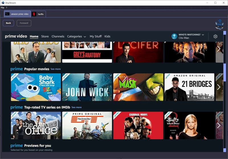 anystream interface