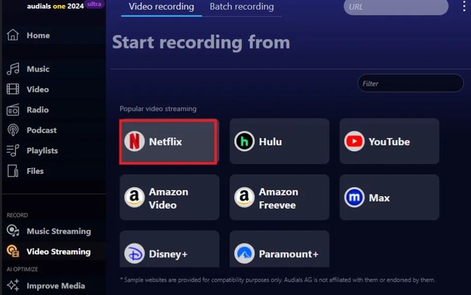 choose netflix on audials