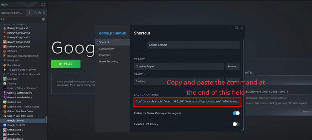 configure the chrome launch options