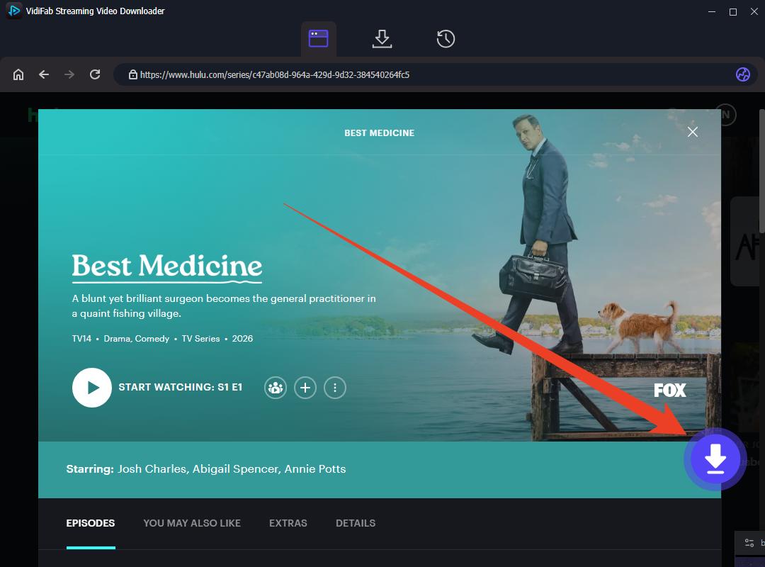 download hulu shows on vidifab