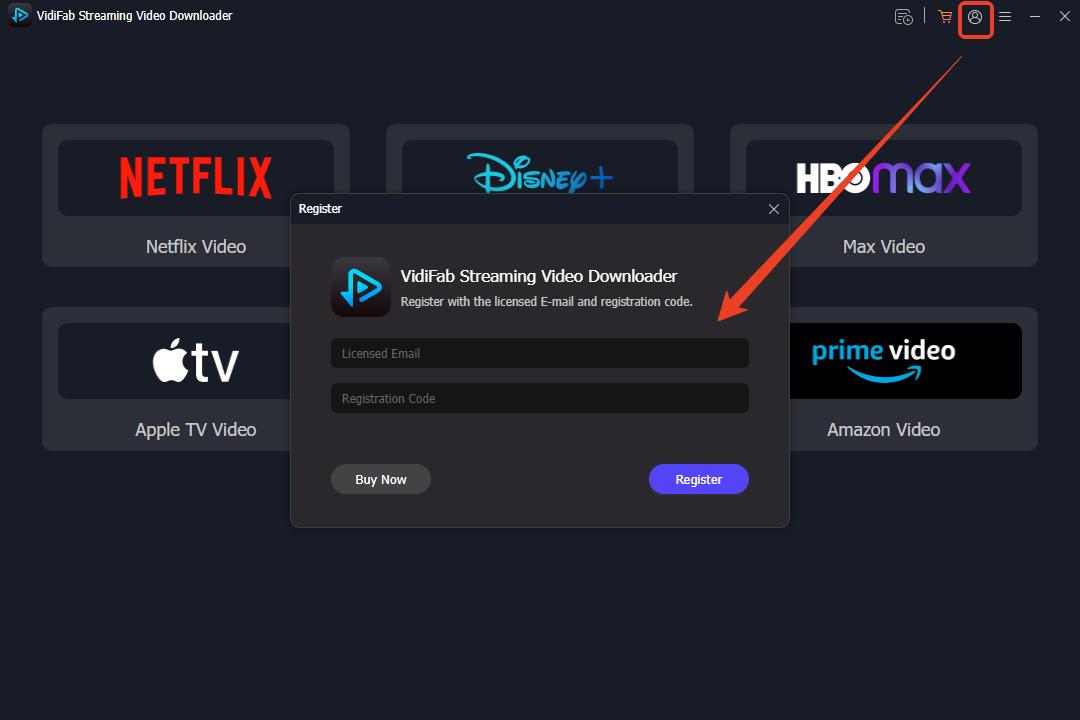 enter the vidifab license key