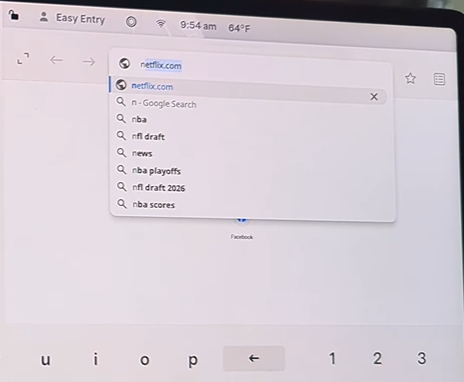 get netflix from tesla browser
