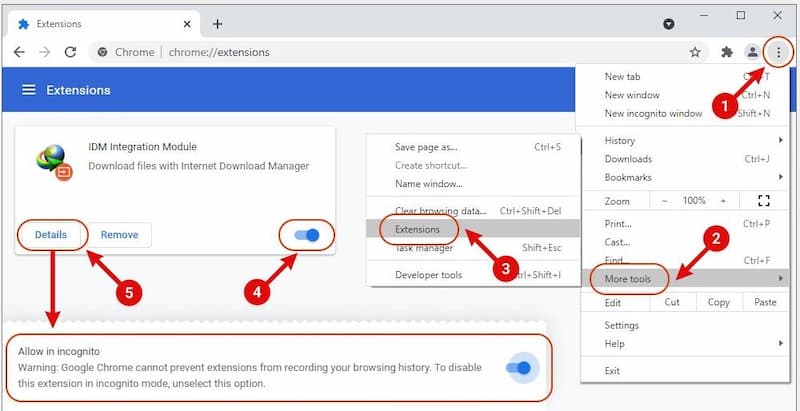idm browser integration guide