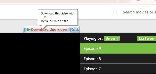 idm download this video button