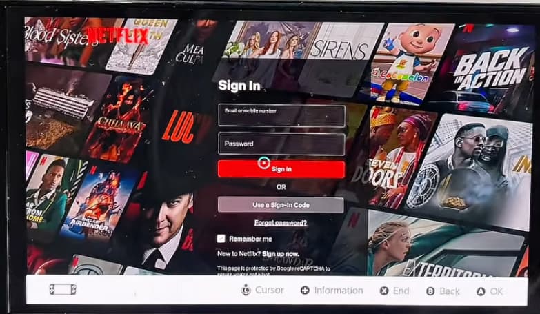 log in netflix on switch via hidden browser