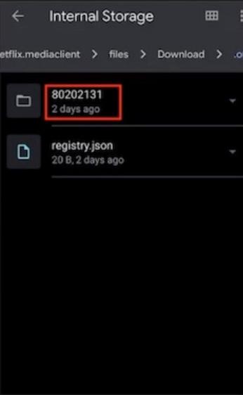 netflix downloads stored in android internal storage
