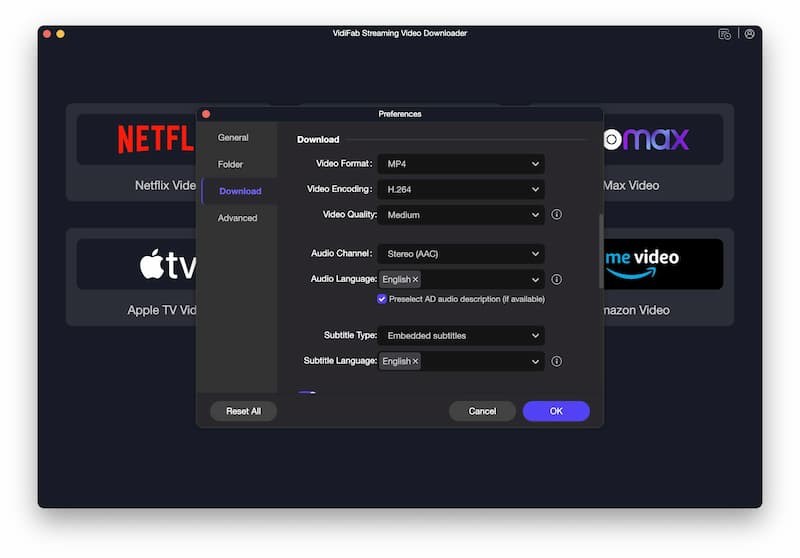 VidiFab Netflix step 1 setup