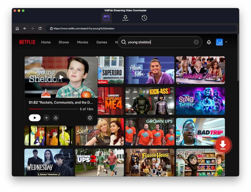 VidiFab Netflix step 2 find content