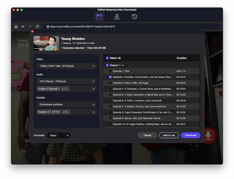 VidiFab Netflix step 3 settings