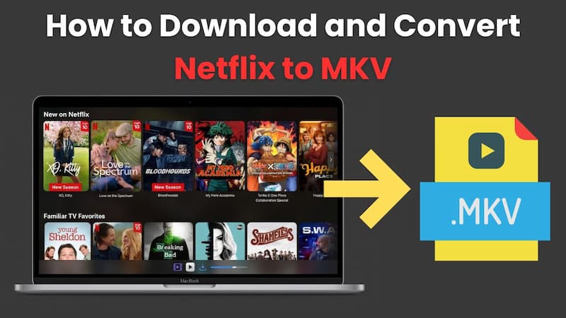 netflix to mkv