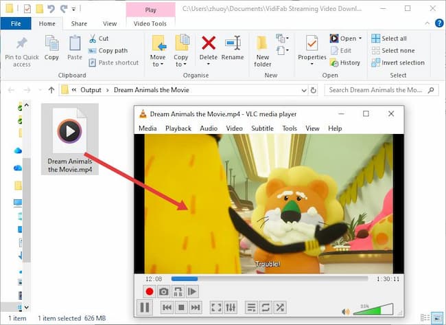 play converted netflix downloads via vlc