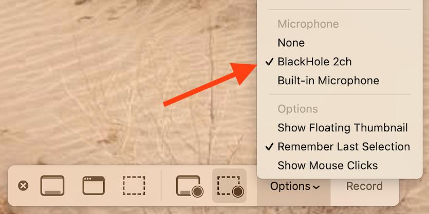 record audio from blackhole