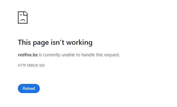 redfox website not working