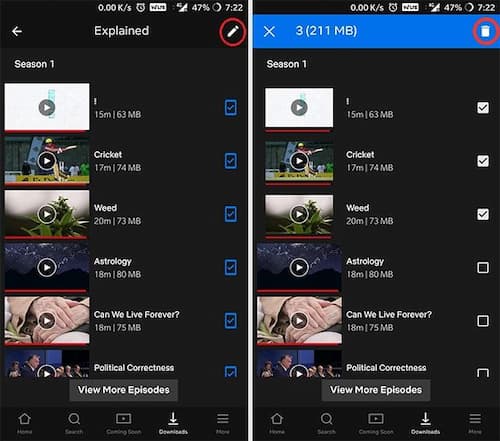 remove netflix downloads in app