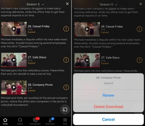 renew netflix downloads