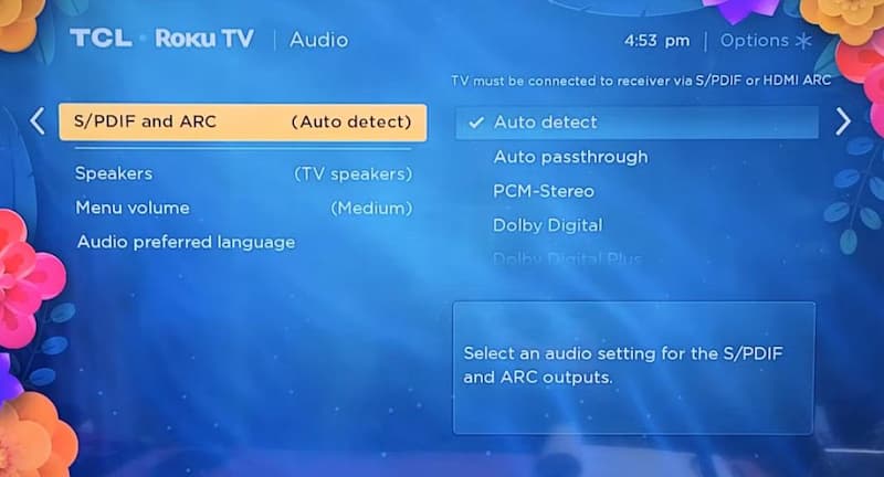 roku tv audio settings