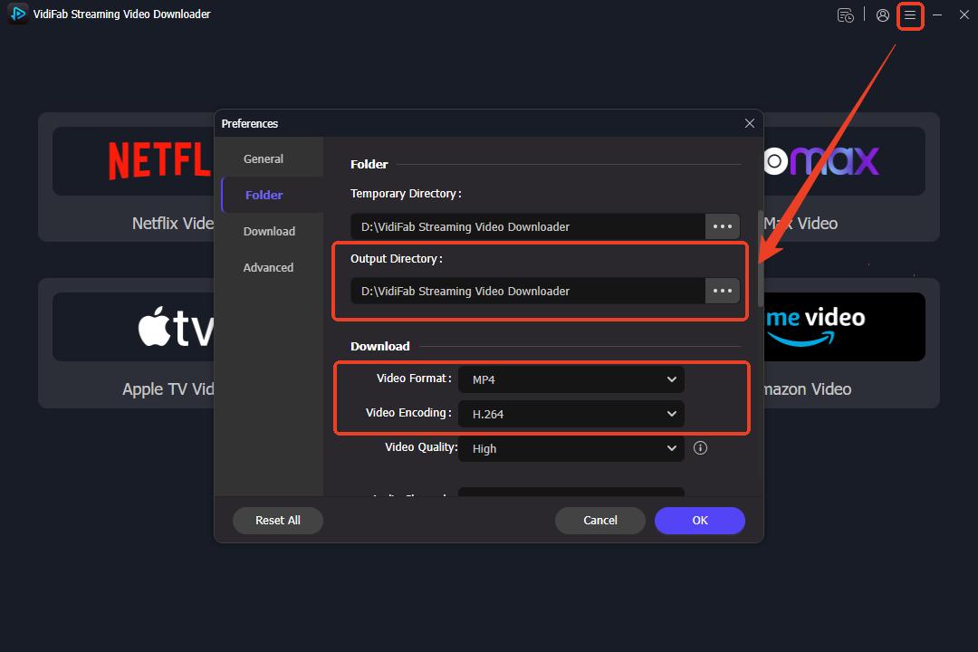 set the output folder and format in vidifab