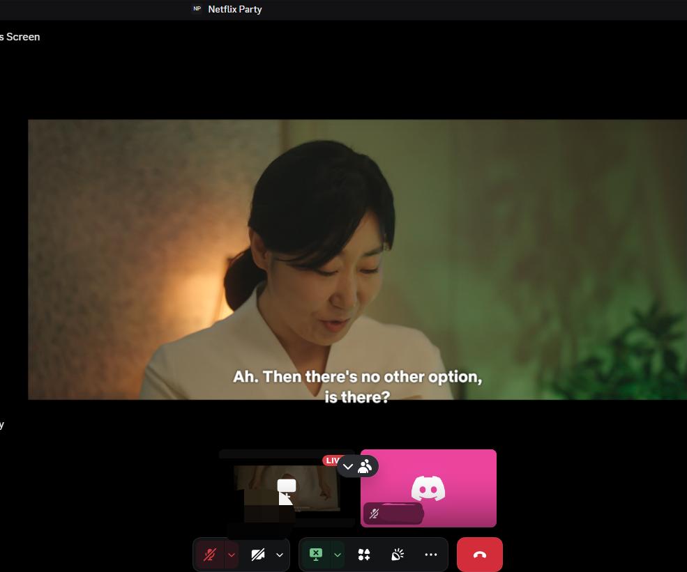stream netflix on discord