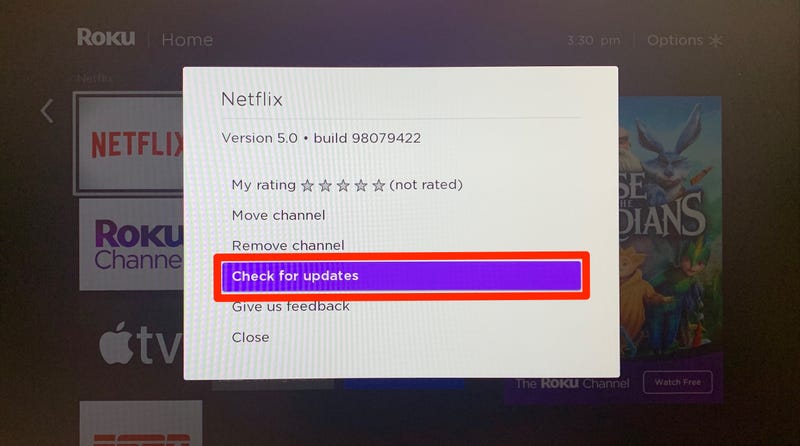 update netflix on roku tv