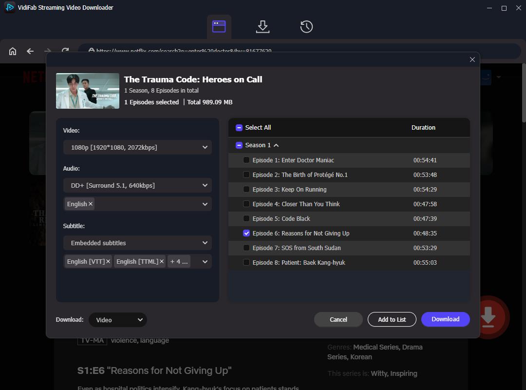 VidiFab download settings showing 1080p, DD+ 5.1, embedded subtitles